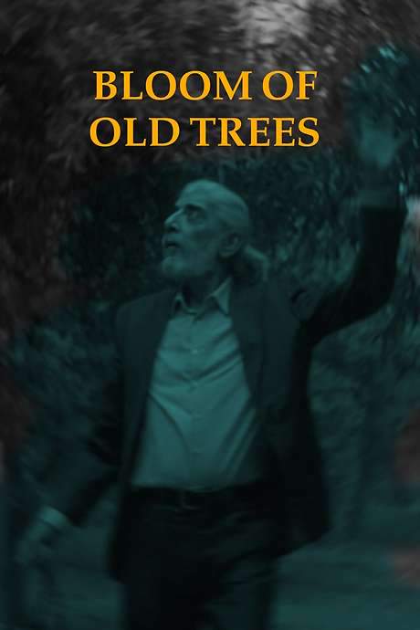 Bloom of Old Trees